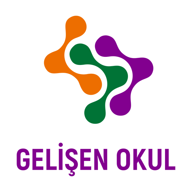 Gelişen Okul ÖSY Koçluk
